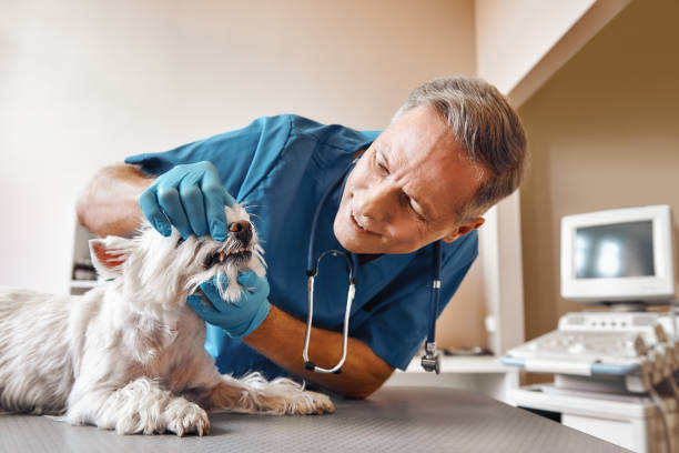 Best Walk-In Emergency Dental Services in Adel, GA