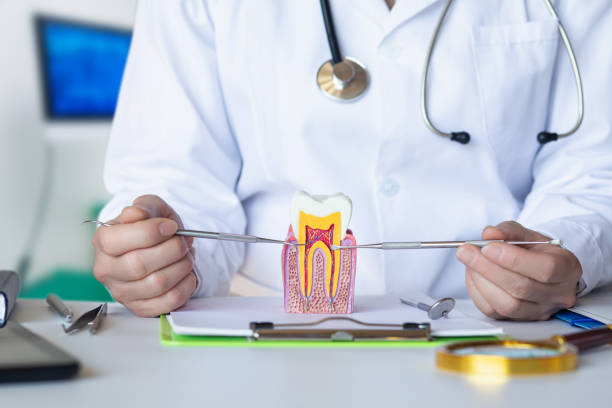Best Emergency Cosmetic Dentistry (e.g., broken veneers) in Adel, GA